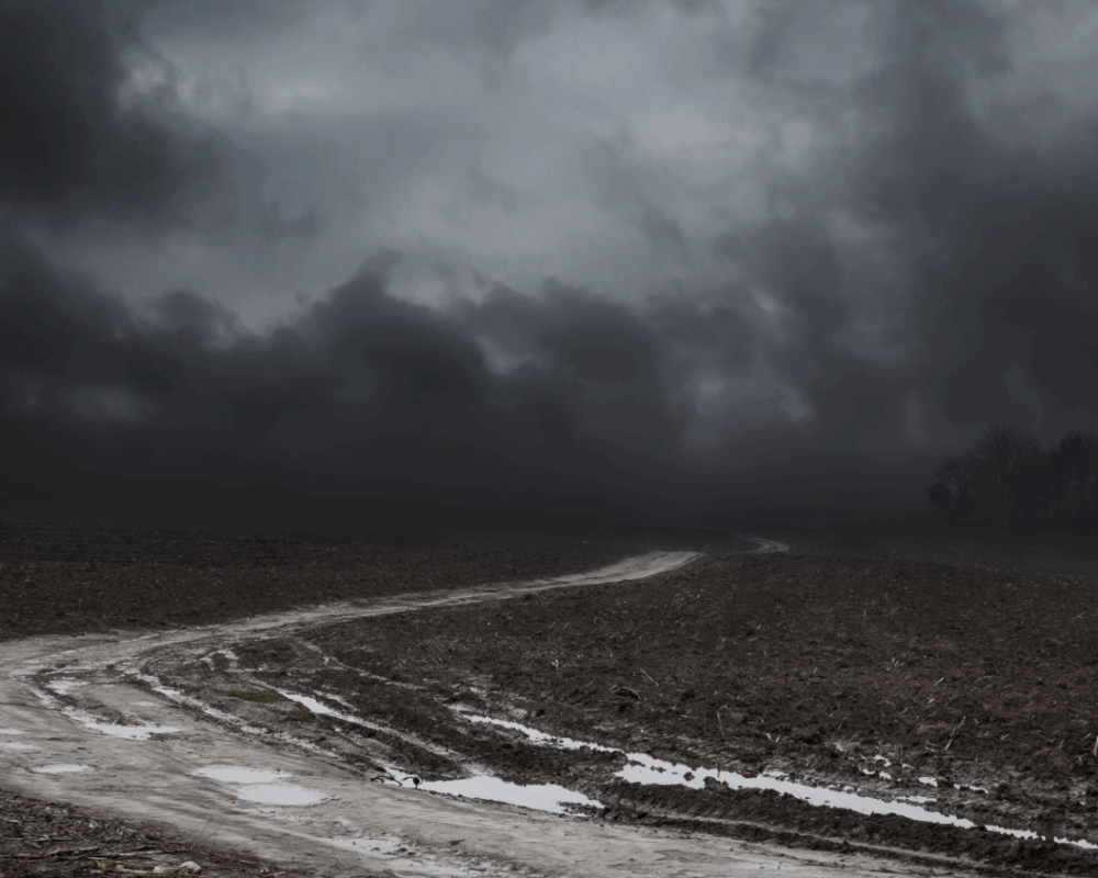 The Road Ahead
